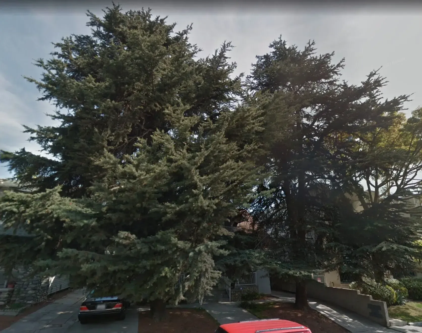 1820 North Berendo MUST DIE! — photograph 4