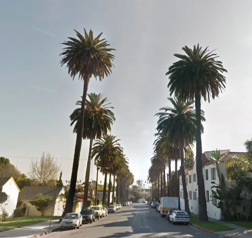 4544 Los Feliz Blvd — photograph 15