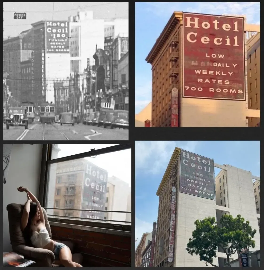 The Cecil is the City’s Fault — photograph 7